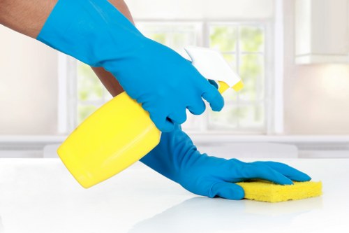 Keyboard navigation support on an accessible local oven cleaning website