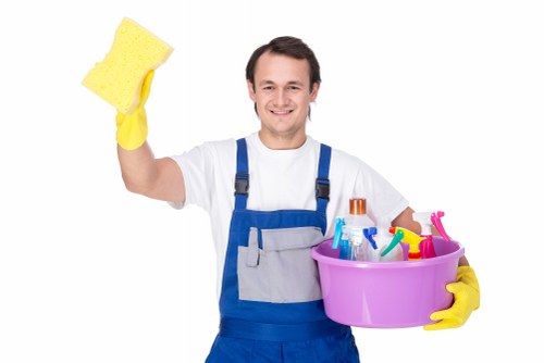Oven cleaning process showing appliance maintenance and safety checks