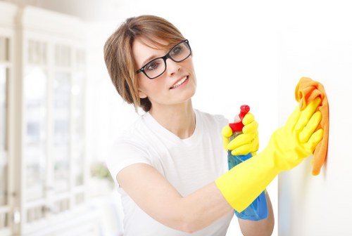 Kitchen oven cleaning alongside related surfaces