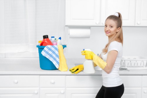 Detailed bathroom deep cleaning in Clapham
