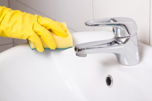 Cleaner reviewing oven cleaning appointment details before service