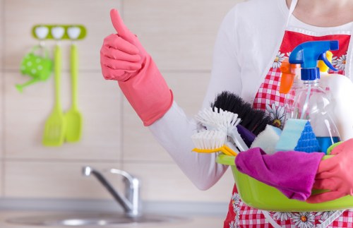Updated accessibility statement for an inclusive oven cleaning service site