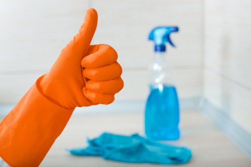 Domestic cleaner in Clapham preparing a spotless living room