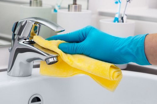 Professional cleaner in Clapham maintaining a modern office